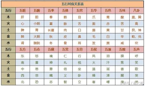 五行身體部位|教你學八字23:五行干支，對應身體部位